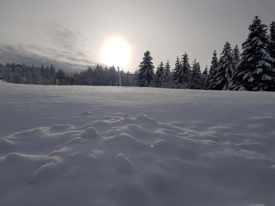 Agroturystyka Koronkowe Zacisze Koniaków Dış mekan fotoğraf