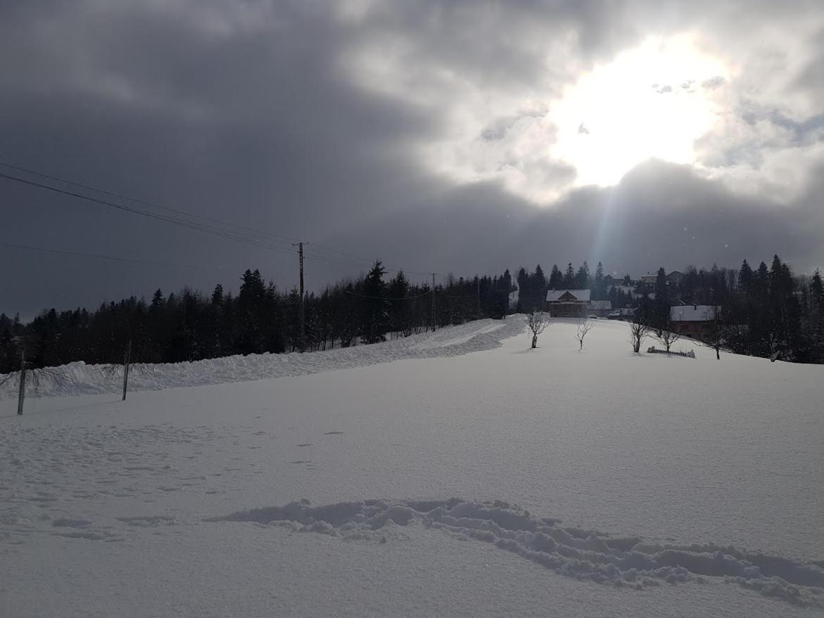 Agroturystyka Koronkowe Zacisze Koniaków Dış mekan fotoğraf
